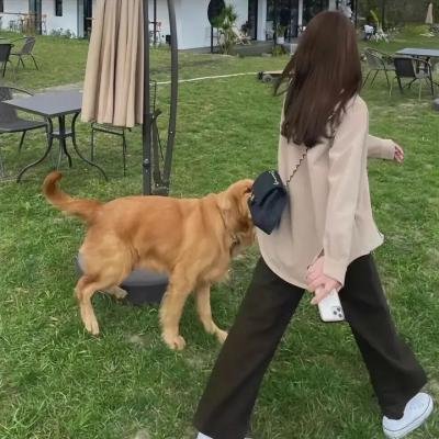 亲爱的伽利略